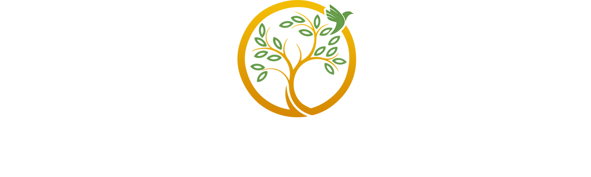 Rehovot Studios
